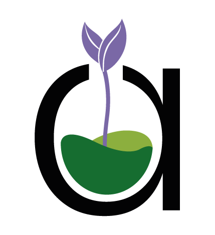 Academia aprende aromaterapia - Cursos desde Santiago de Chile